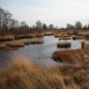 Moorlandschaft Groes Meer